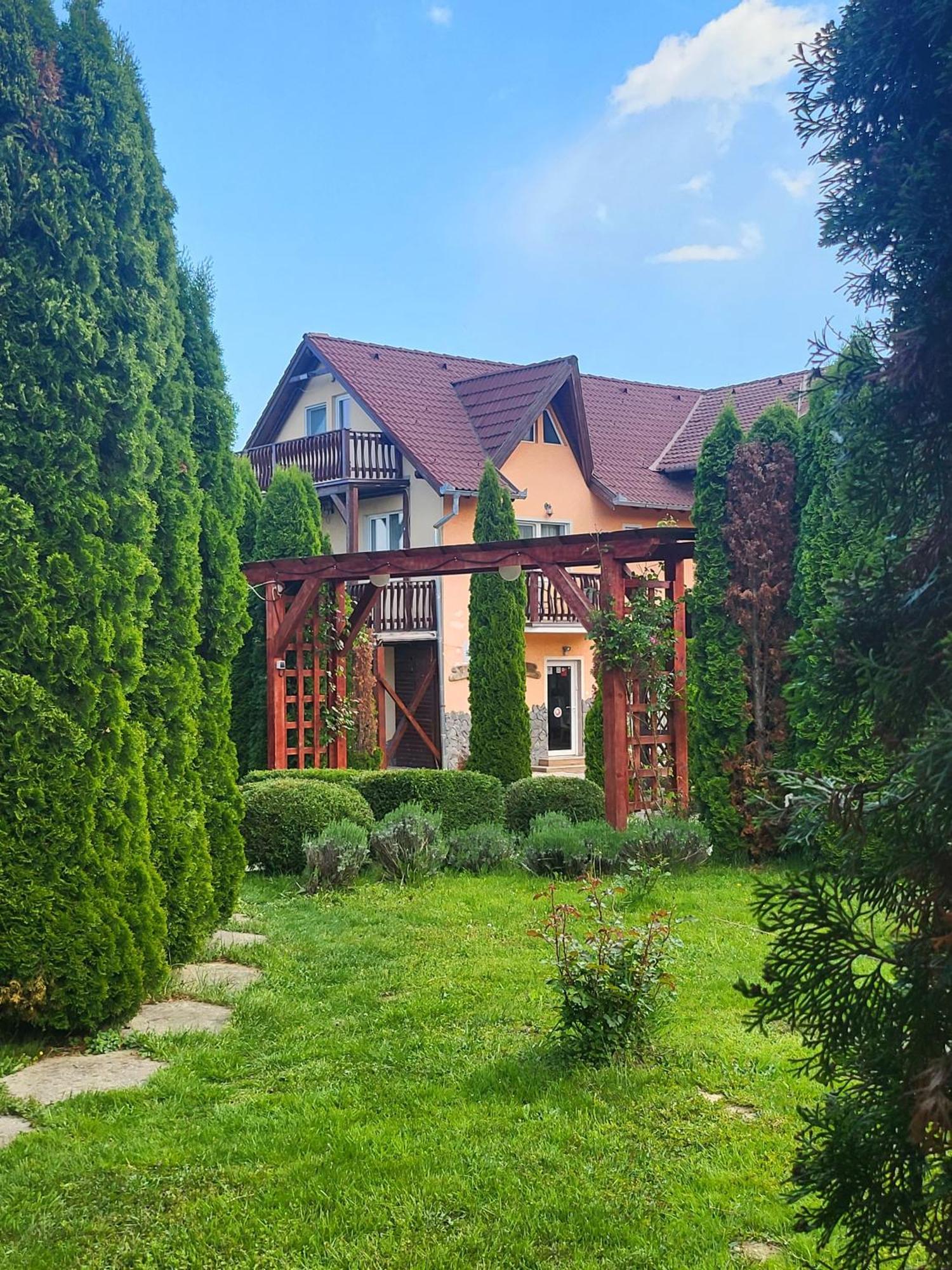 Pensiunea Mountain King Sîmbăta de Sus Eksteriør billede