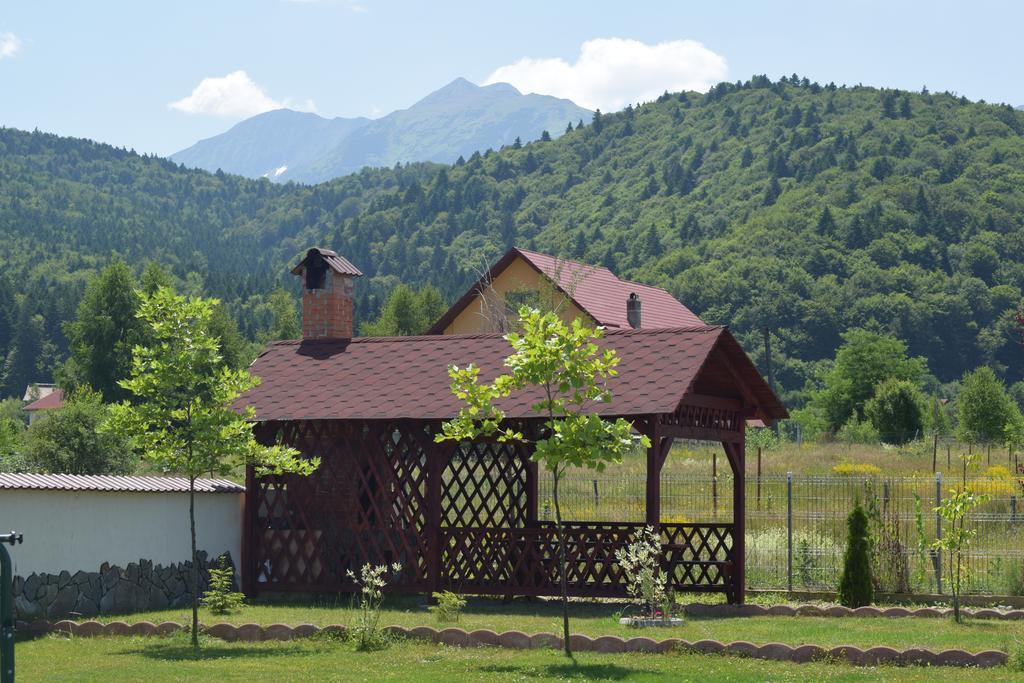 Pensiunea Mountain King Sîmbăta de Sus Eksteriør billede