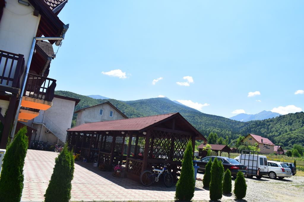 Pensiunea Mountain King Sîmbăta de Sus Eksteriør billede