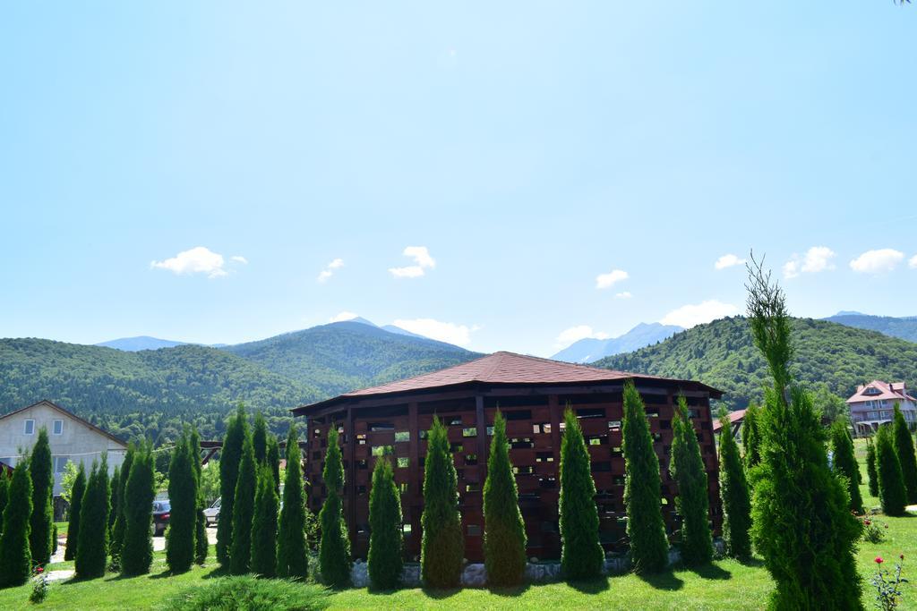 Pensiunea Mountain King Sîmbăta de Sus Eksteriør billede
