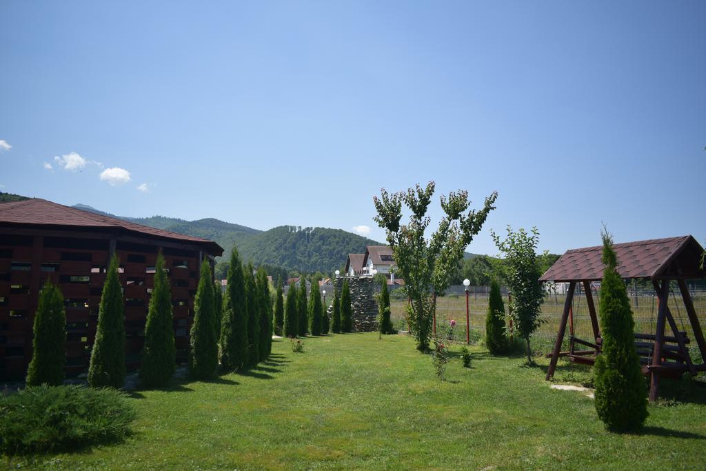 Pensiunea Mountain King Sîmbăta de Sus Eksteriør billede