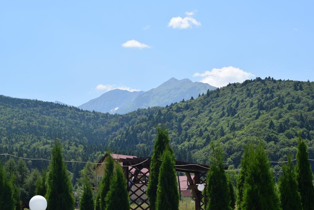Pensiunea Mountain King Sîmbăta de Sus Eksteriør billede