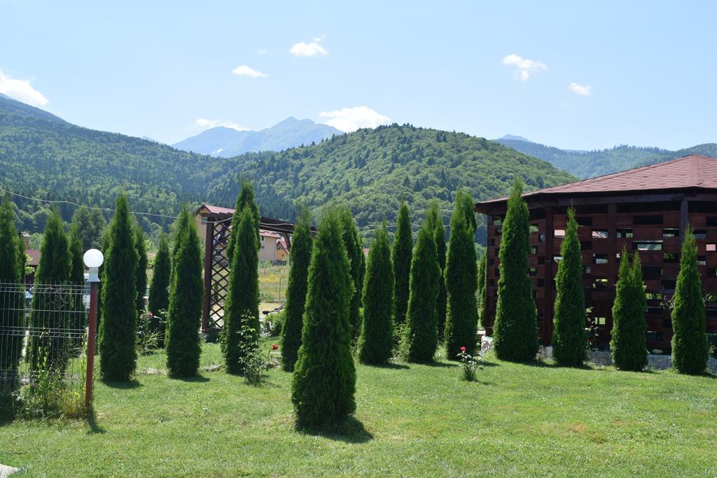Pensiunea Mountain King Sîmbăta de Sus Eksteriør billede