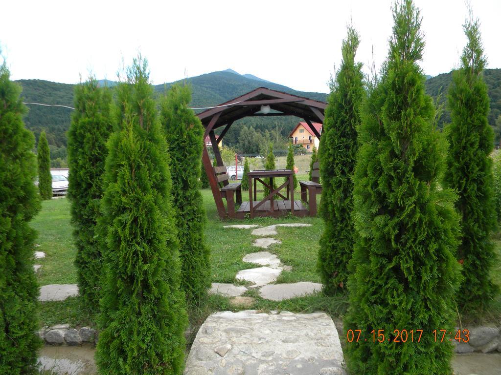 Pensiunea Mountain King Sîmbăta de Sus Eksteriør billede
