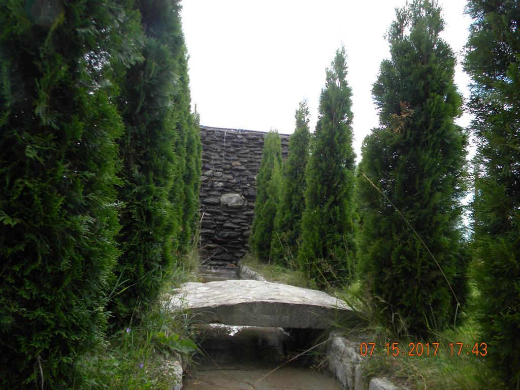 Pensiunea Mountain King Sîmbăta de Sus Eksteriør billede