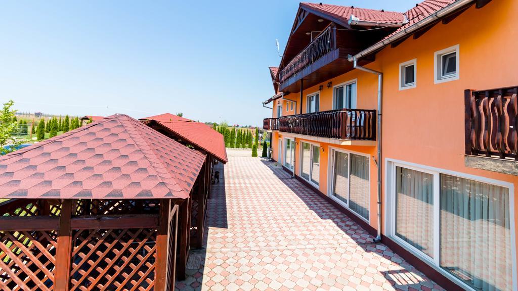Pensiunea Mountain King Sîmbăta de Sus Eksteriør billede