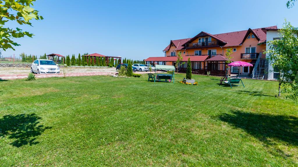 Pensiunea Mountain King Sîmbăta de Sus Eksteriør billede
